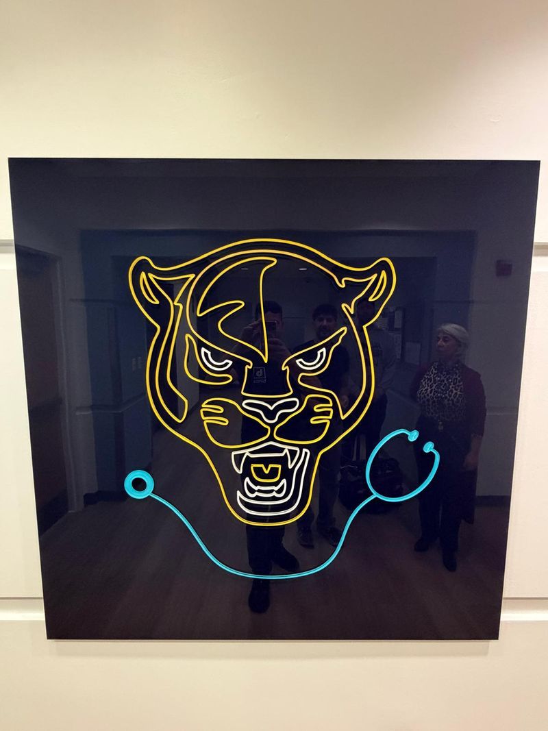 Illuminated neon-style wall sign of a tiger head with a stethoscope, yellow and blue on a dark panel
